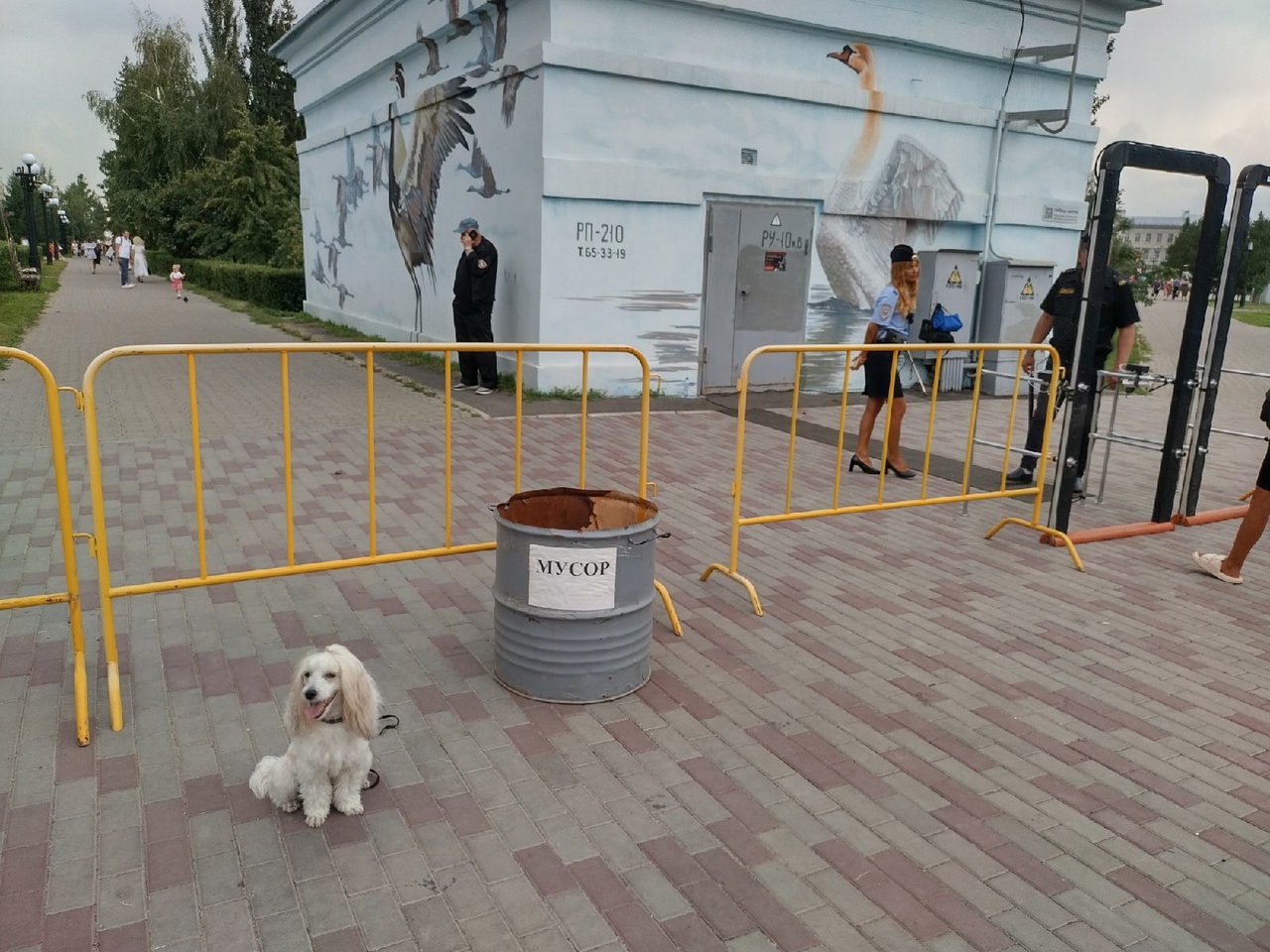 Большинство людей ведет себя хуже собак» | Общество