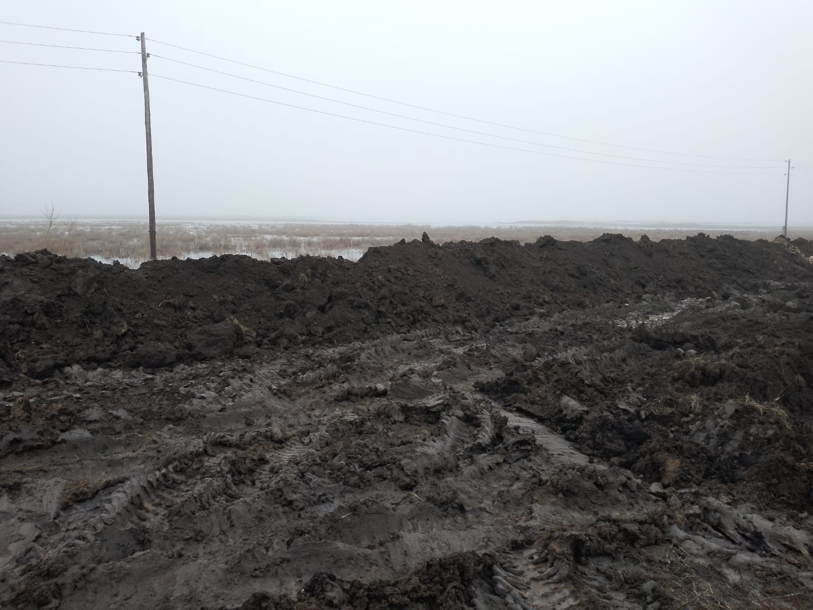 В Омской области из-за паводка начали строить искусственную дамбу | Общество