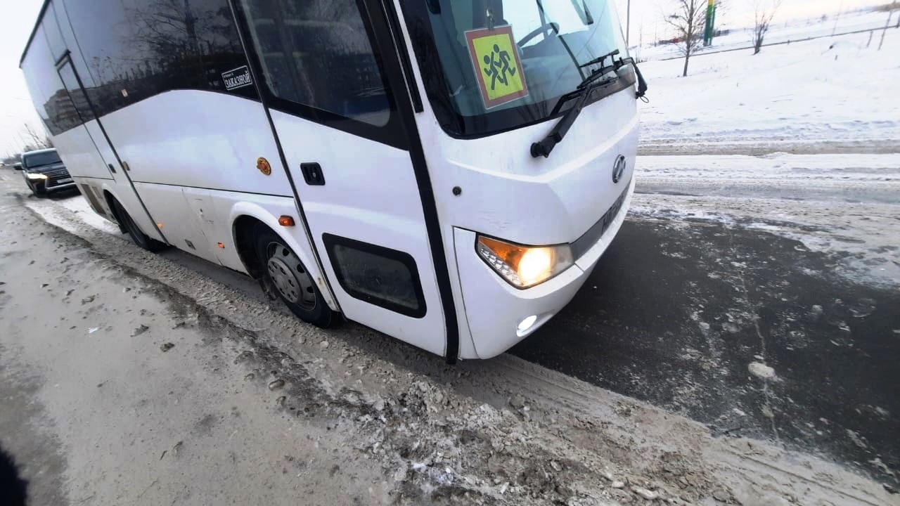 Автобус, который вез омских школьников в зоопарк, насмерть сбил косулю |  Происшествия