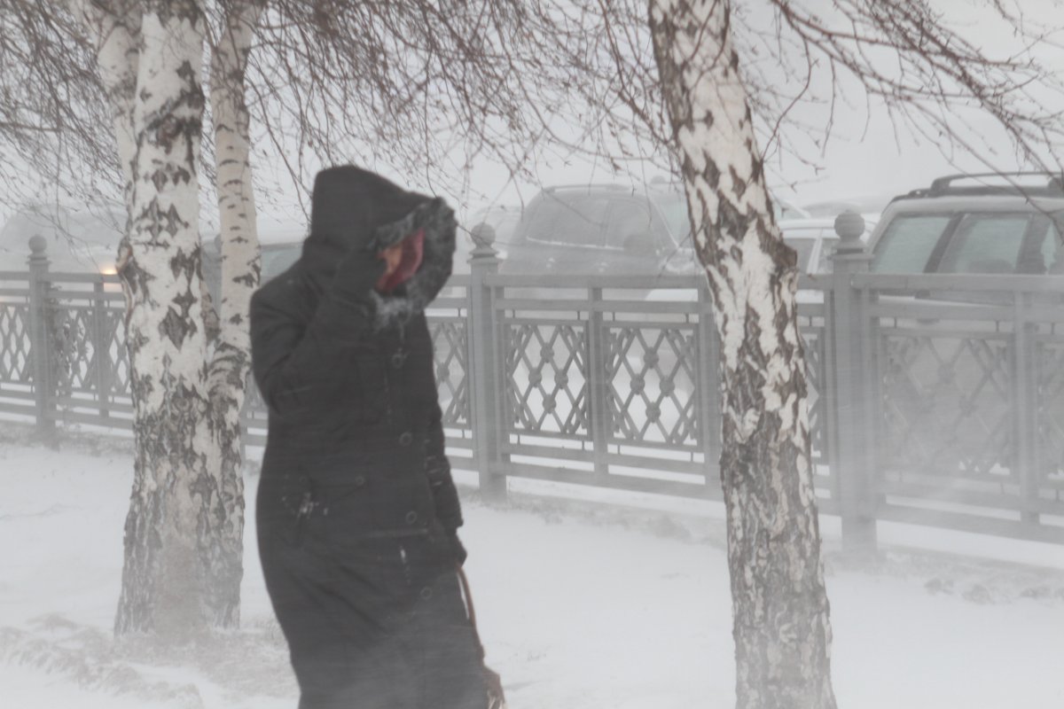 Погода совсем никуда. Сильный ветер зимой. Сильная метель Снежная буря в Омске. Усиление ветра зимой. Штормовое предупреждение зимой.