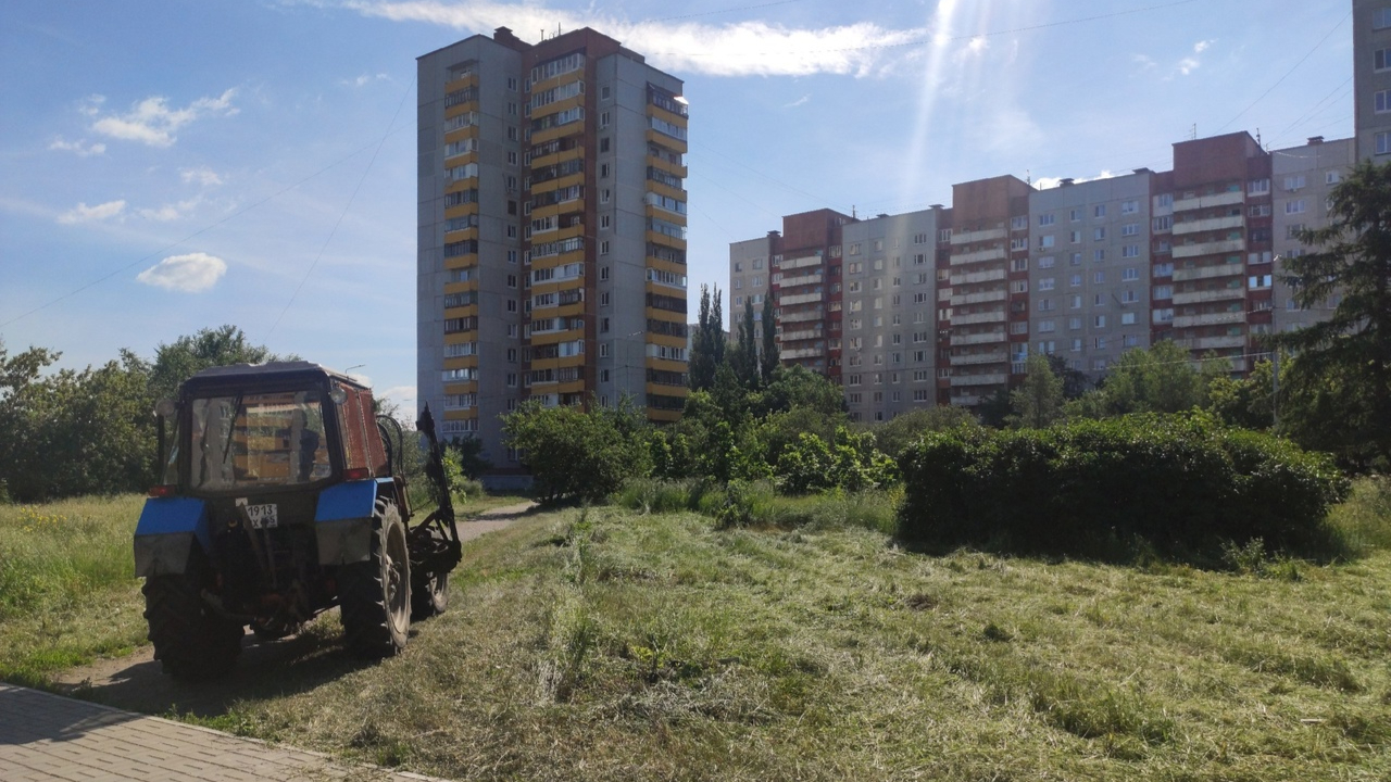 Аллея олимпийцев в Омске зазеленела и зацвела, но не вся | Общество