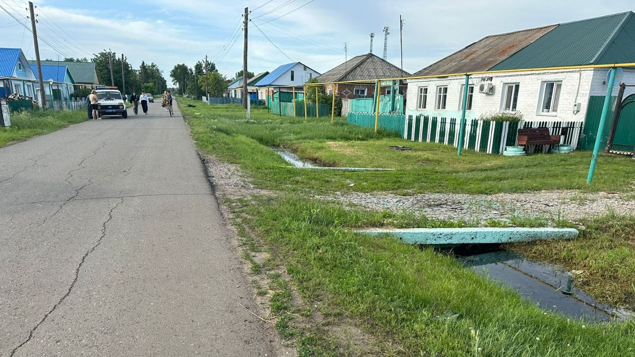 Недалеко от Первомайского рынка в Омске насмерть сбили пенсионерку |  Происшествия