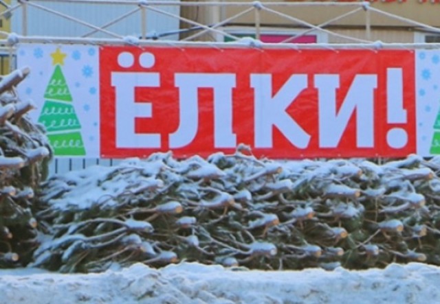 Мэрия назвала адреса елочных базаров в крупном округе Омска | Общество ...